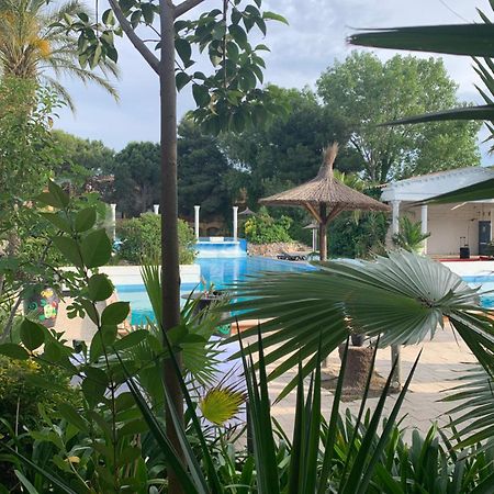 Appartement Cosy Confort Parking Clim Wifi Linge Acces Piscine Non Inclus Canet-en-Roussillon Buitenkant foto