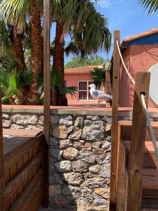 Appartement Cosy Confort Parking Clim Wifi Linge Acces Piscine Non Inclus Canet-en-Roussillon Buitenkant foto