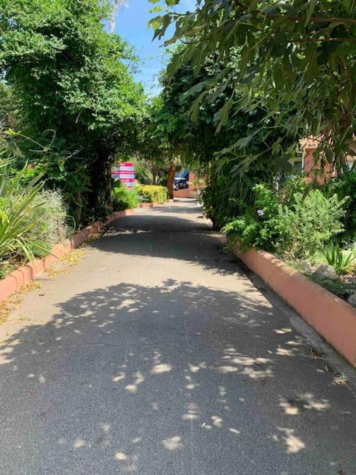 Appartement Cosy Confort Parking Clim Wifi Linge Acces Piscine Non Inclus Canet-en-Roussillon Buitenkant foto